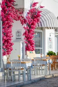 CIDRAP- NEWS BRIEFS September 4, 2024