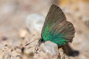 National and Local Weather Radar, Daily Forecast, Hurricane and information from The Weather Channel and weather.com