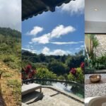 How a Longevity Center in Costa Rica Assisted Me Overcome