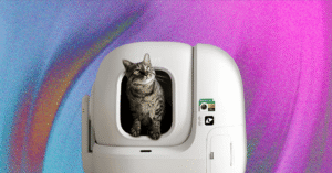 The%20Best%20Automatic%20Cat%20Litter%20Boxes.png