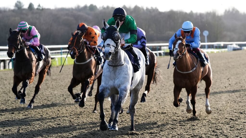 skysports-racing-lingfield_7139844.jpg