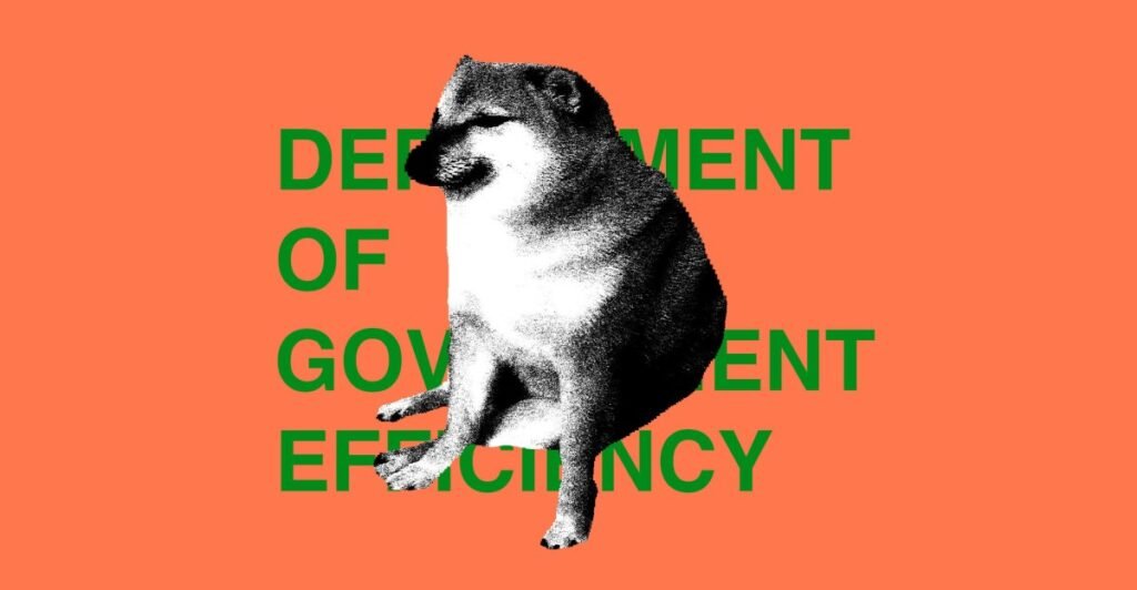 STKS486_DOGE_DEPARTMENT_2_E.jpg