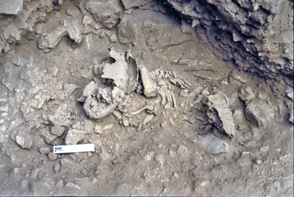 amud_7_burial_curtesy_of_prof_yoel_rak_-_copy.png