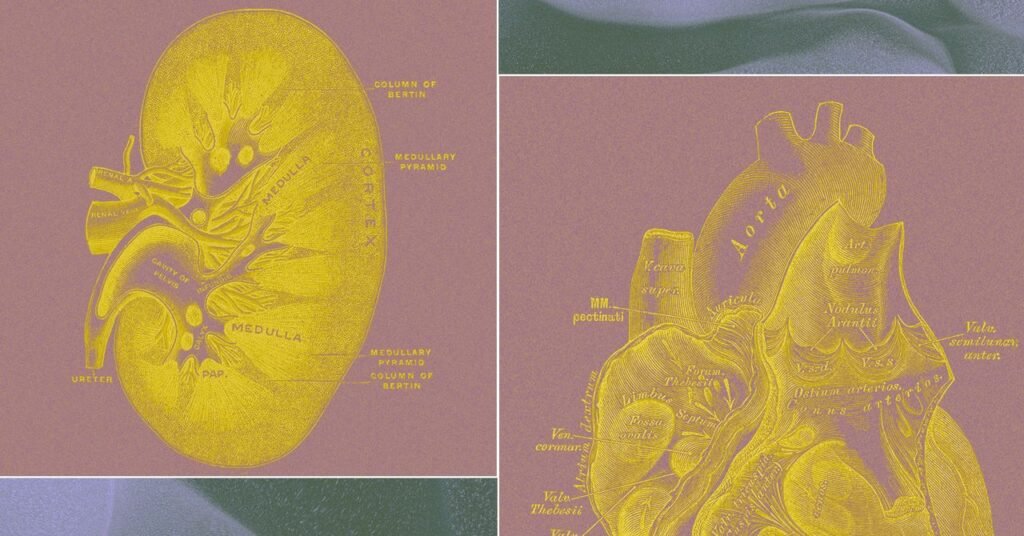 startup-Making-Organ-Sacks-Science.jpg