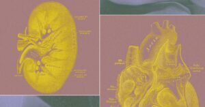startup-Making-Organ-Sacks-Science.jpg