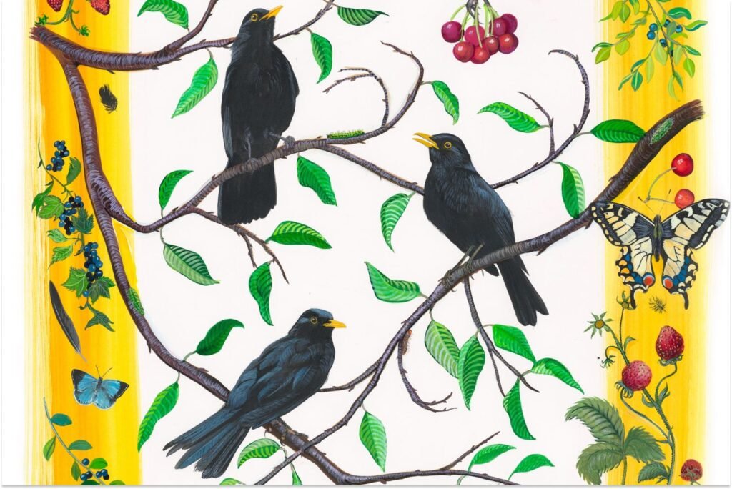 blackbird_fit_2.jpg