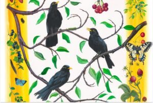 blackbird_fit_2.jpg
