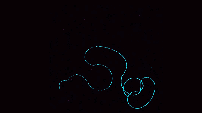 single-sperm-timelapse-blue_cj-imran-alsous_smaller.gif