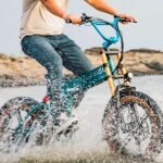 Fiido M1 Pro Fat Tire Electric Bike Review