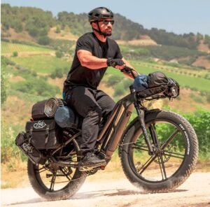 Fiido Titan E bike 2