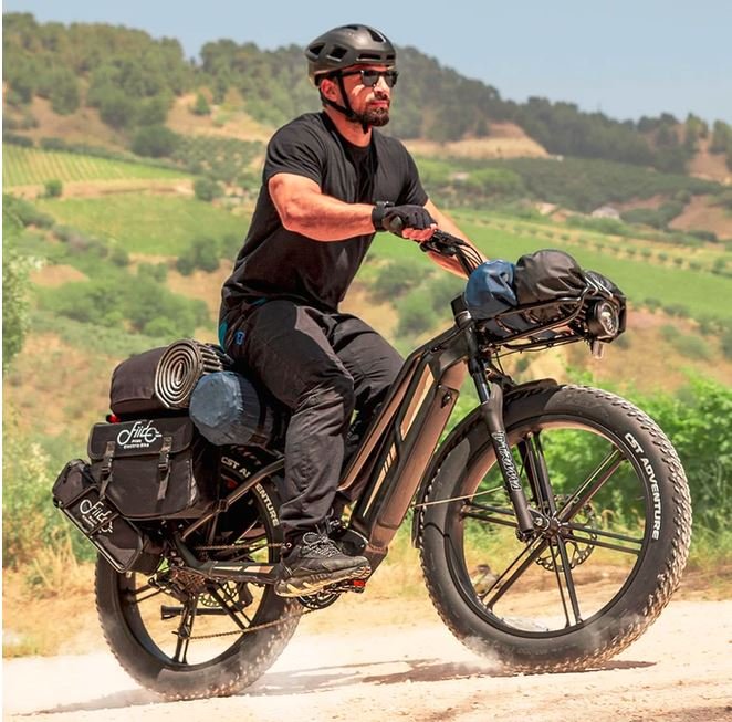 Fiido Titan E bike 2